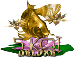 5koi Deluxe – Ace333