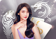 Dragon Tiger – BBIN