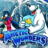 Arctic Wonders – Habanero