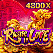 Rooster In Love — JDB Fishing — CYL88 Malaysia