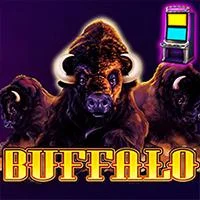 BUFFALO – Mario Club