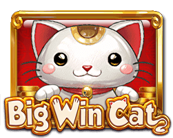 Big Win Cat – Megah5