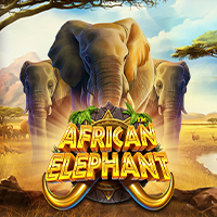 African Elephant – Pragmatic Play