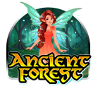 Ancient Forest – Pussy888