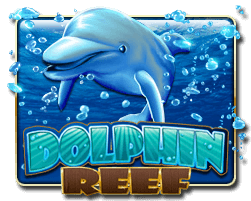 Dolphine Reef – Pussy888