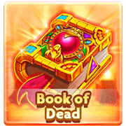 Book of Dead – Rich88