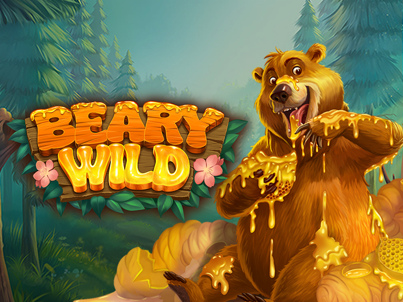Beary Wild – Realtime Gaming