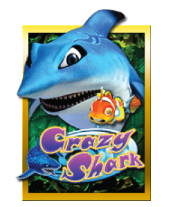 Crazy Shark – Club Sun City