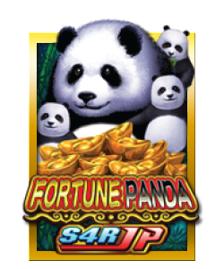 Fortune Panda – Club Sun City