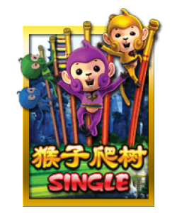 Monkey Climb – Club Sun City